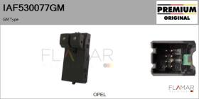 GM IAF530077GM - Interruptor, elevalunas