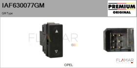 GM IAF630077GM - Interruptor, elevalunas