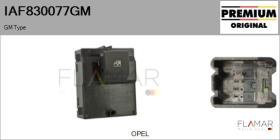 GM IAF830077GM - Interruptor, elevalunas