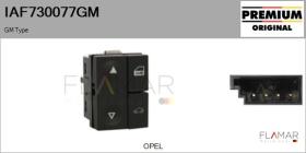 GM IAF730077GM - Interruptor, elevalunas