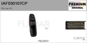 PSA IAF030107CP - Interruptor, elevalunas
