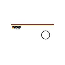 FLAG 810079 - RETEN