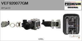 GM VEF920077GM - Valvula EGR