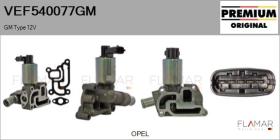 GM VEF540077GM - Valvula EGR