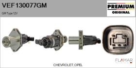 GM VEF130077GM - Valvula EGR