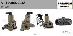 GM VEF230077GM - Valvula EGR