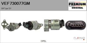 GM VEF730077GM - Valvula EGR