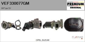 GM VEF330077GM - Valvula EGR