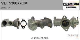 GM VEF530077GM - Valvula EGR