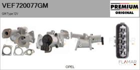 GM VEF720077GM - Valvula EGR