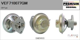 GM VEF710077GM - Valvula EGR