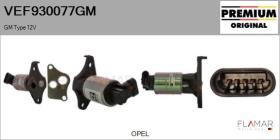GM VEF930077GM - Valvula EGR