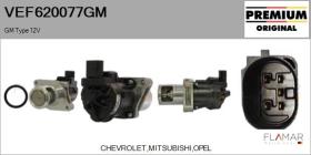 GM VEF620077GM - Valvula EGR