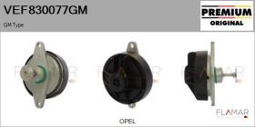 GM VEF830077GM - Valvula EGR