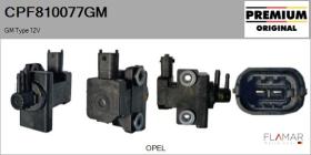 GM CPF810077GM - Válvula presion, control de gases de escape