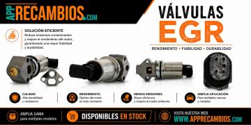 VALVULAS EGR